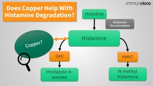Copper and Diamine Oxidase (DAO): Is There a Link?