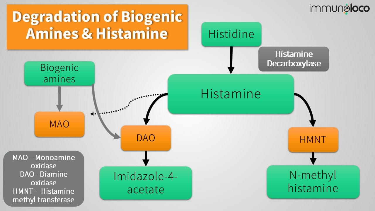 Caffeine in Histamine Intolerance, MCAS & Asthma