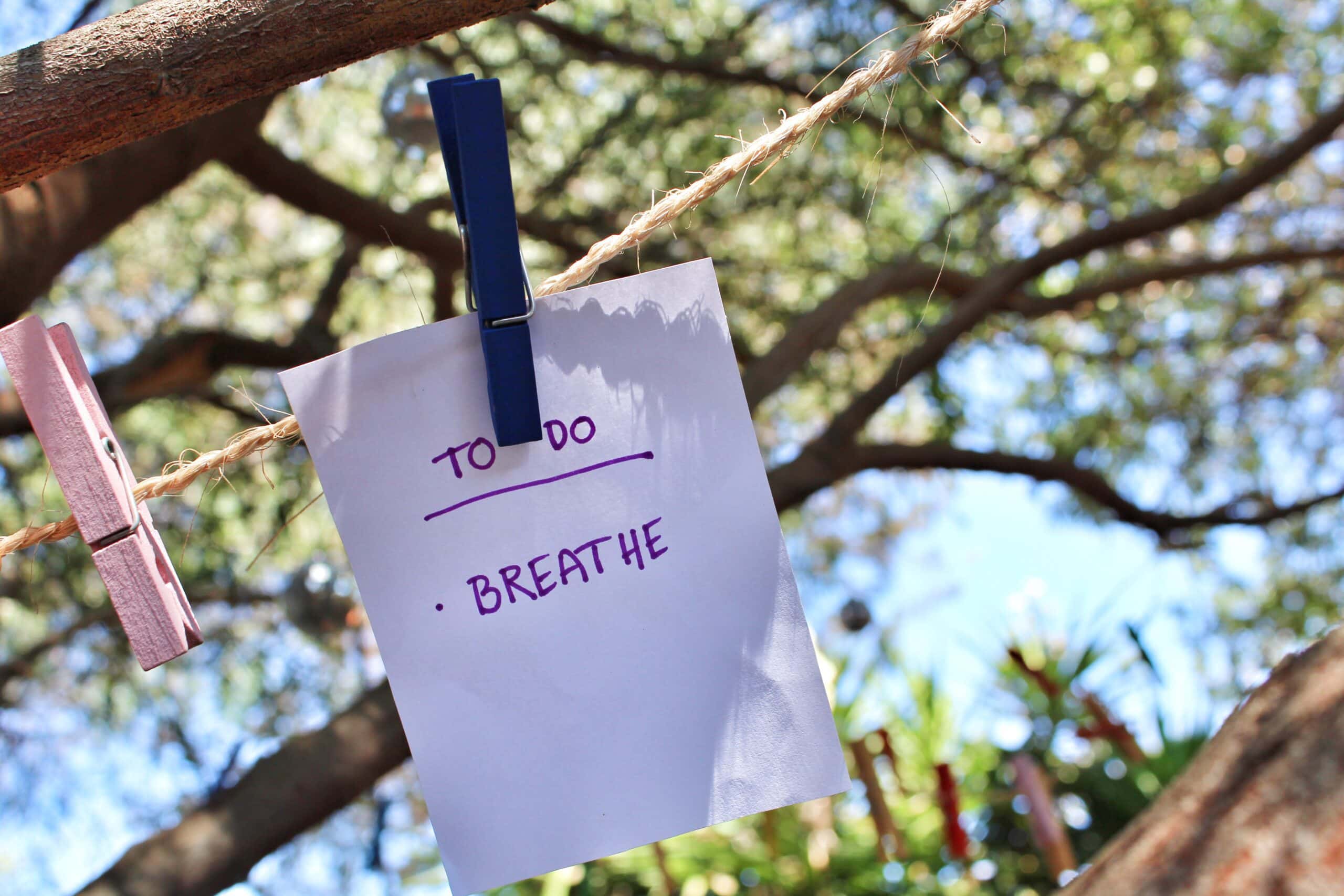 Naturheilkundliche Behandlung von interstitieller Zystitis & chronischen Blasenschmerzen